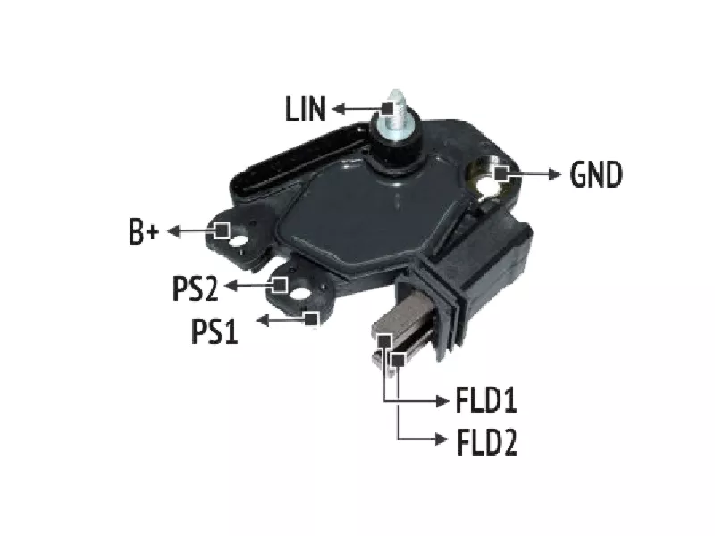 RNV 623446          